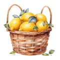 Lemon Decal 23