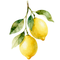 Lemon Decal 4