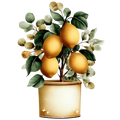 Lemon Decal 41