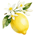 Lemon Decal 5