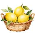 Lemon Decal 6