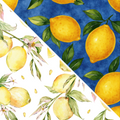 Lemon MM 11