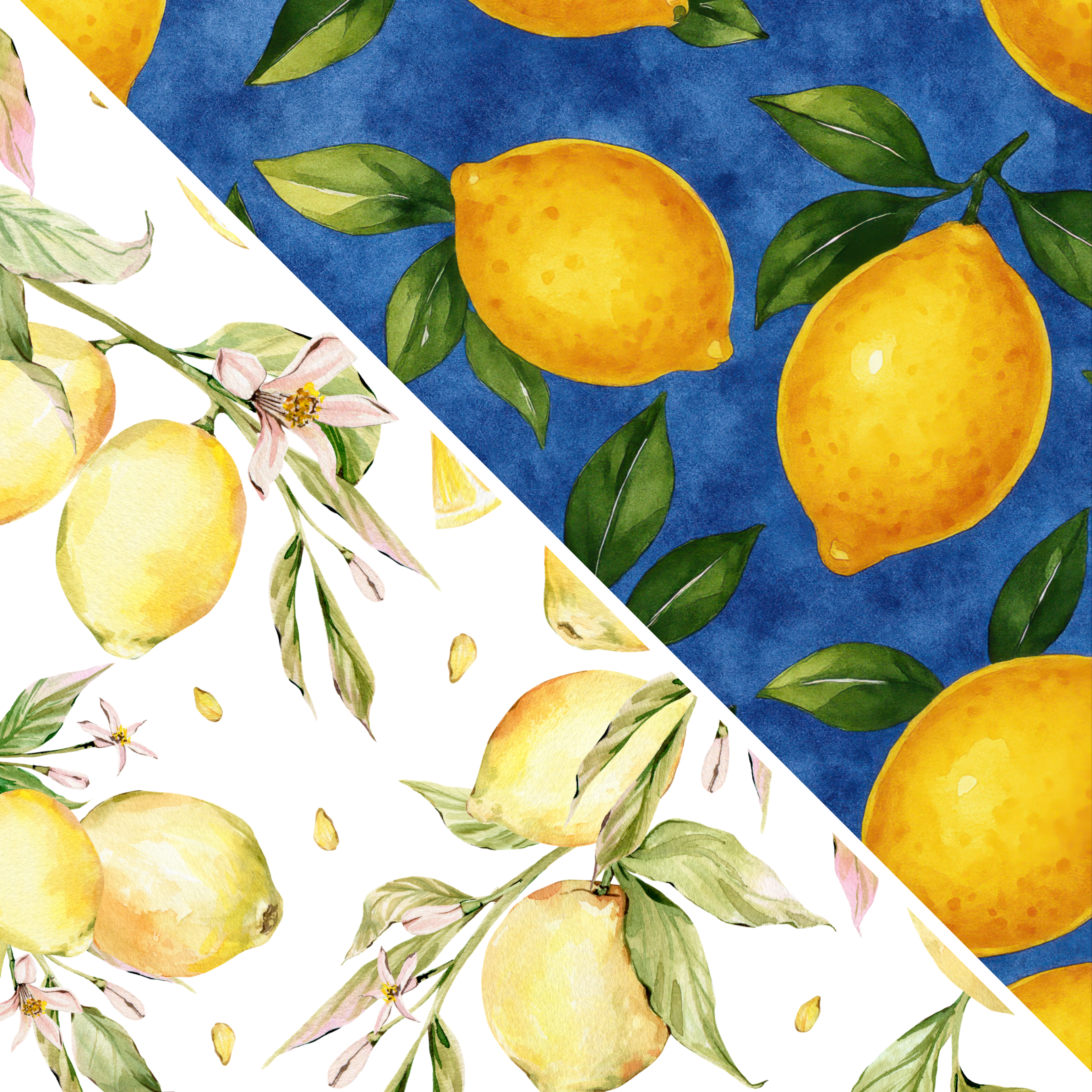 Lemon MM 11
