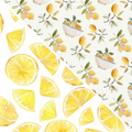 Lemon MM 22