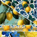 Lemon MM 7