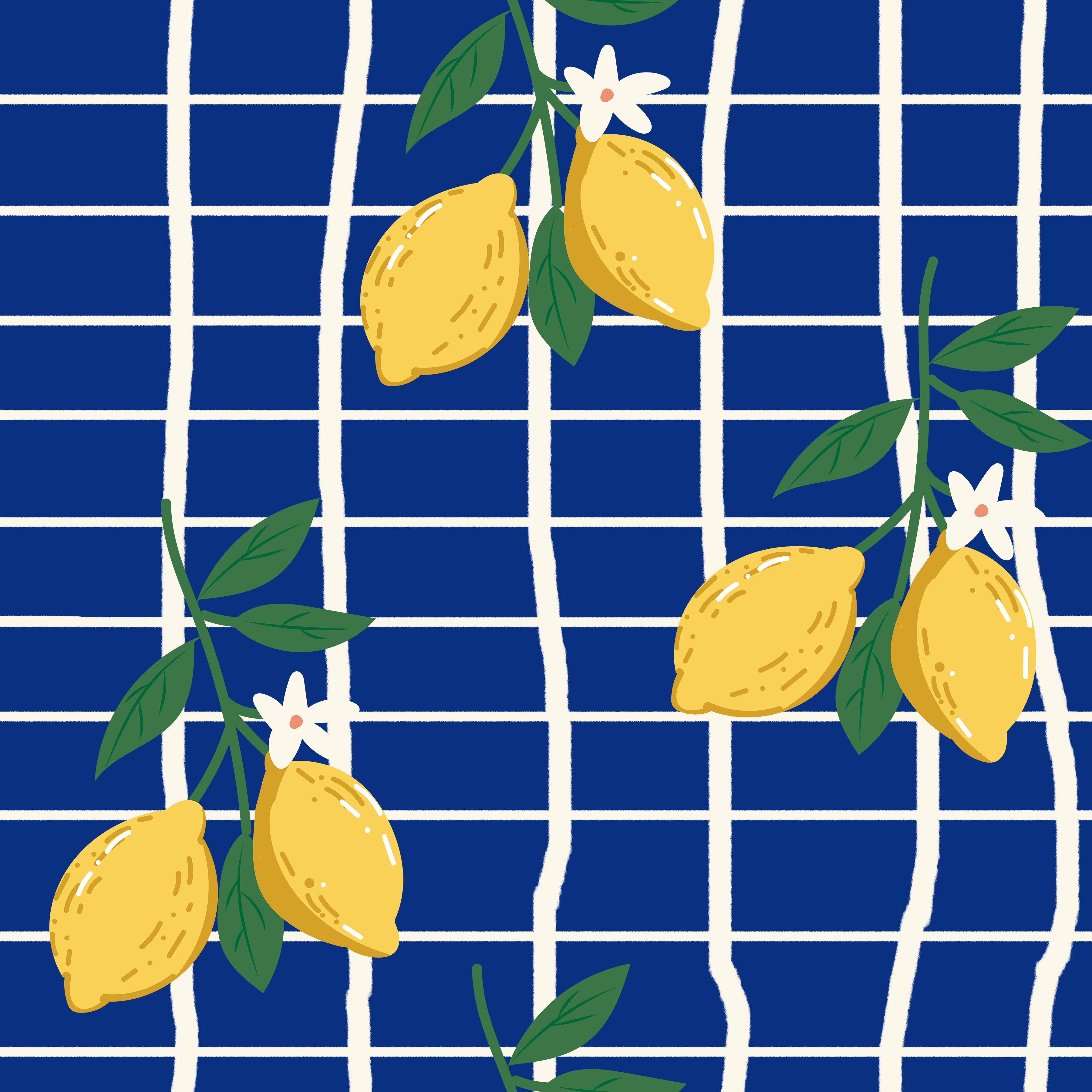 Lemon Vinyl 25
