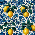 Lemon Vinyl 35