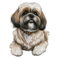 Lhasa