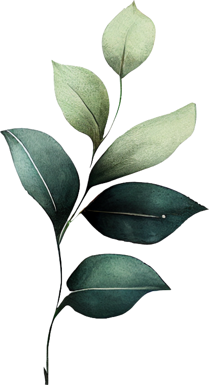 Razzle Dazzle Love Story Collection 2- Decal 9