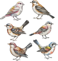 Mixed Media Bird Element Sheet 3