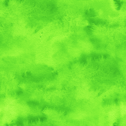 Neon Animal Print Collection