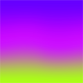 Neon Paisley & Floral Collection- Vinyl 4
