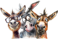 Nerd Donkeys