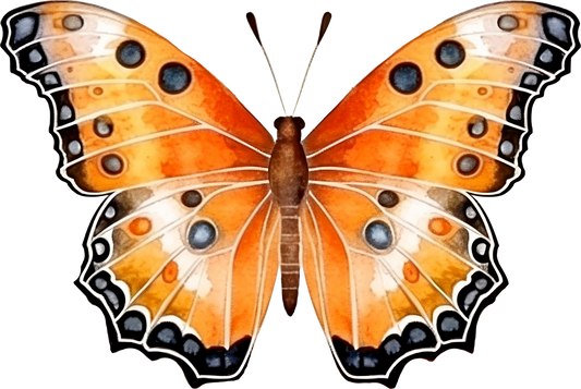 Orange Butterfly 10