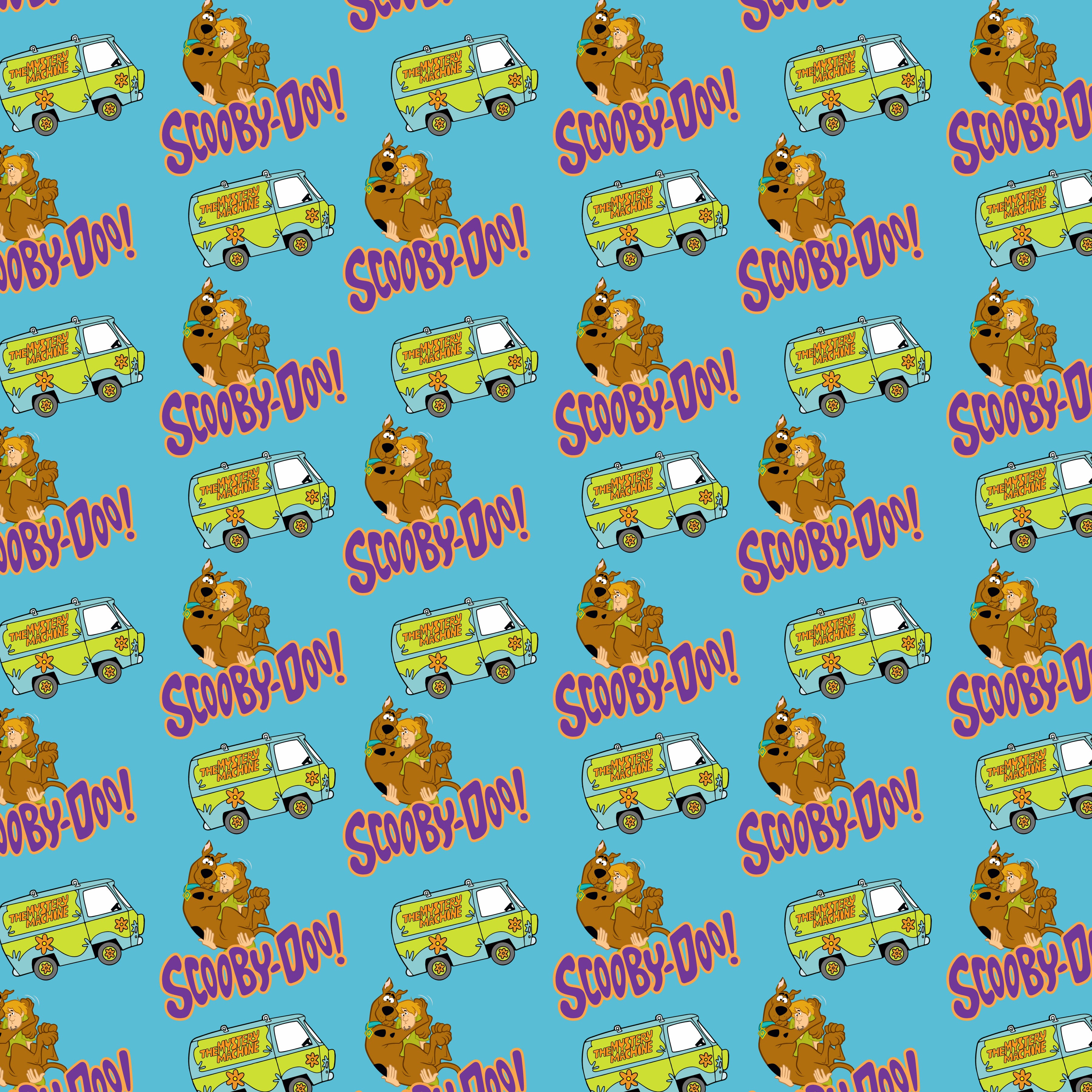 Scooby Vinyl 23