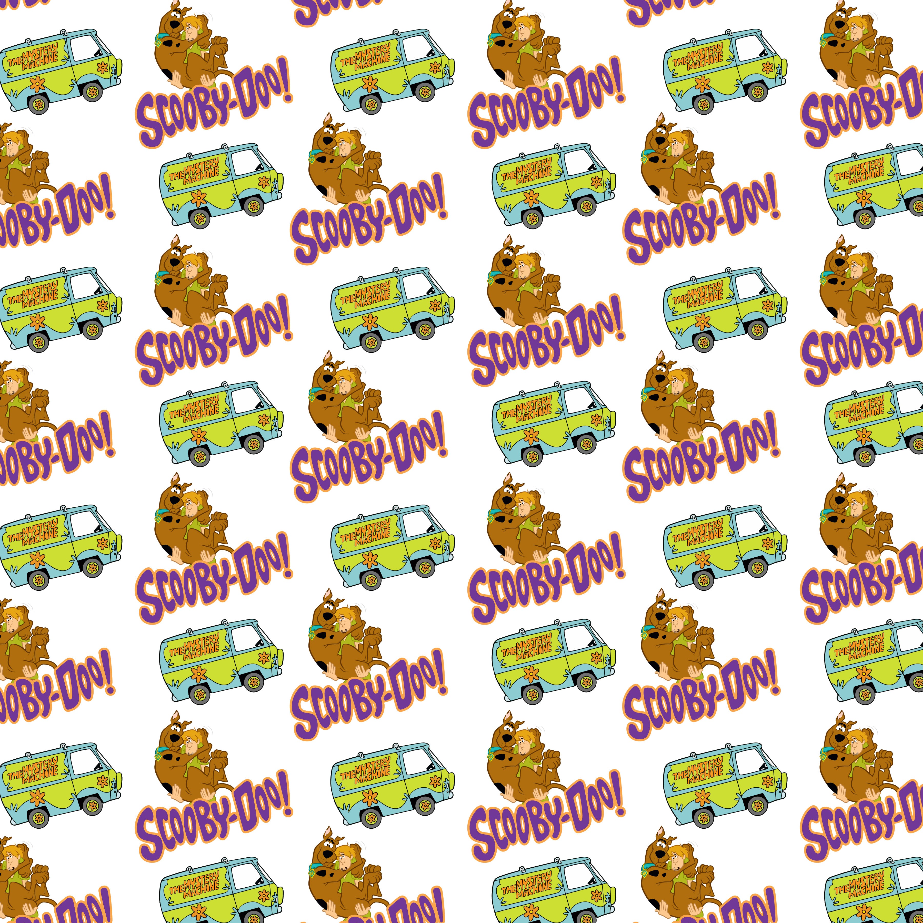 Scooby Vinyl 24