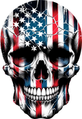 Patriotic Skull