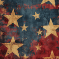 Patriotic Vinyl 54