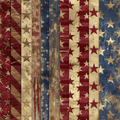 Patriotic Vinyl 6