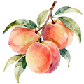 Peach Decal 5