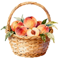 Peach Decal 8