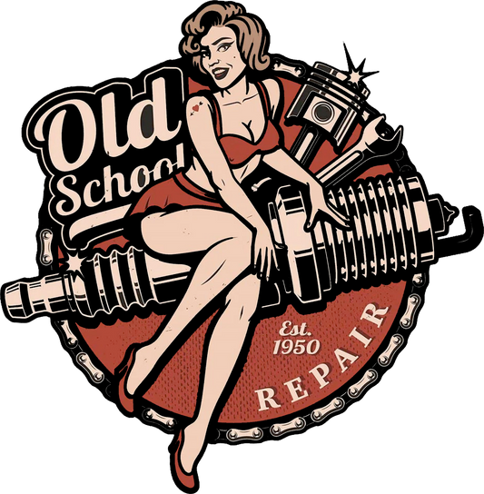 Pin up Girl 5