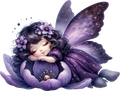 Purple Fairy 1