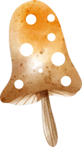 Collection Q-Mushroom 1