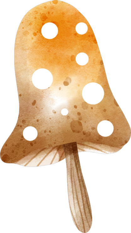 Collection Q-Mushroom 1