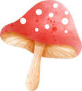 Collection Q-Mushroom 2