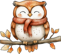 Collection Q-Owl
