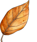 Collection Q-Leaf 1