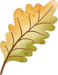 Collection Q-Leaf 2