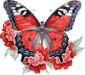 Red Butterfly 1