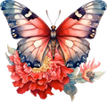 Red Butterfly 2