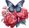 Red Butterfly 3