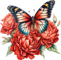Red Butterfly 4