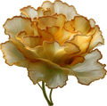 Romantic Floral Collection- Decal 3