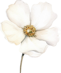 Romantic Floral Collection- Decal 4