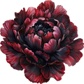 Romantic Floral Collection- Decal 5