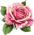 Rose n Crow Collection- Decal 4
