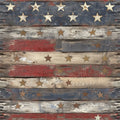 Patriotic Vinyl 44
