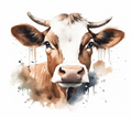 Zaddy's Heifers Collection 5- Vinyl 1