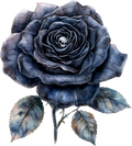 Skull & Roses Collection- Decal 6