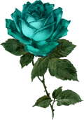 Steampunk Collection- Decal 6
