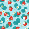 Strawberry Vinyl 13