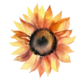 Summer Boho Decal 12