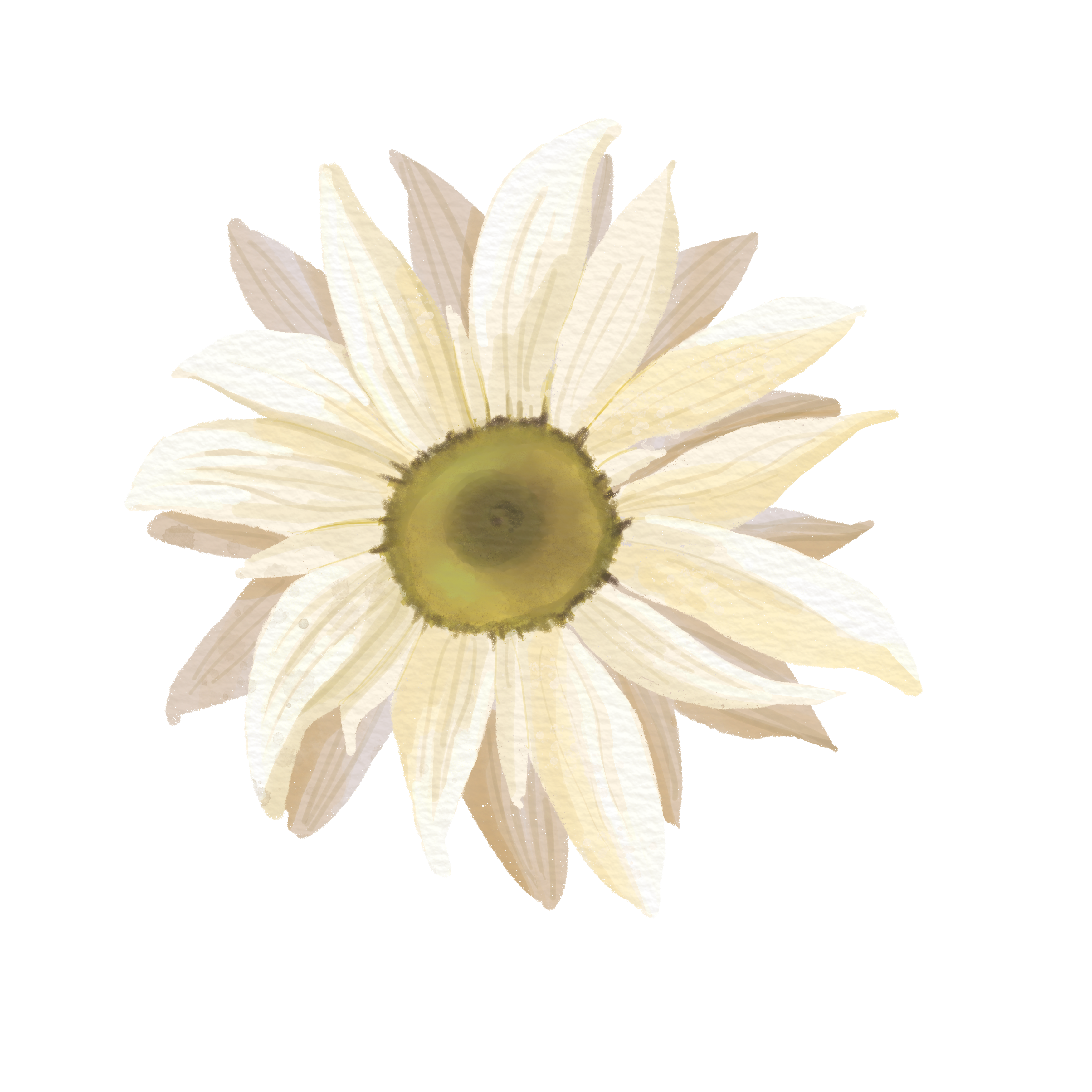 Summer Boho Decal 13
