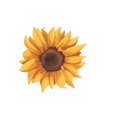 Summer Boho Decal 14