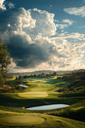 Golfer's Vinyl 116